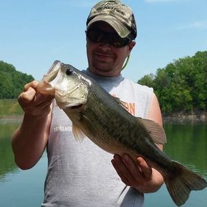 Meet your Posher, George